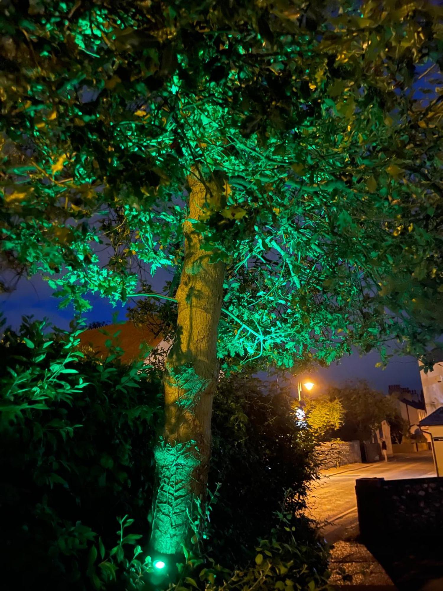 Close To Sea And South Downs National Park - Sompting エクステリア 写真